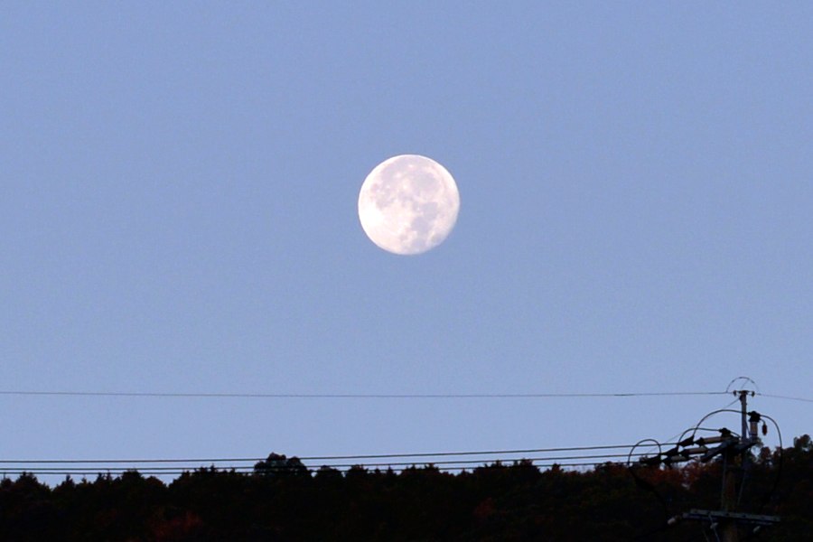 20161116-_dsc1089.jpg 20161116-_dsc1089.jpg